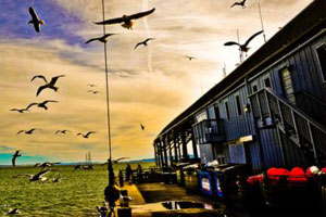 自动发货准时的ddos在线攻击测试网站