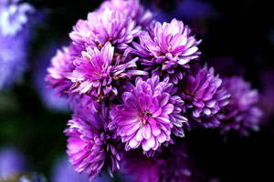 安卓ddos攻击工具